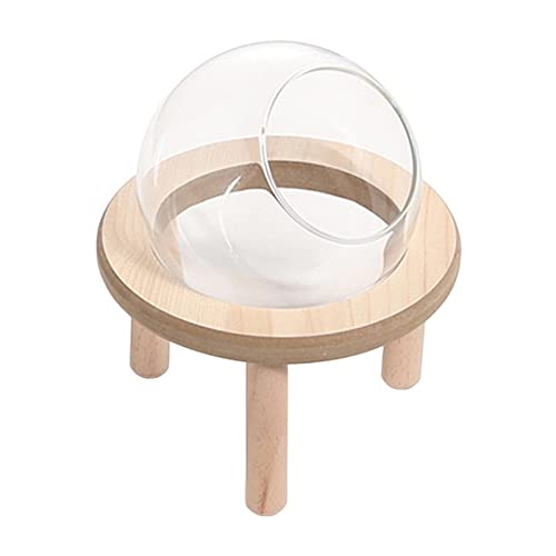 Sharplace Hamster Sandbad Container Badezimmer Holz Toilette Haustier Spielzeug Groß Groß Transparent Hamster Sandbad Box Kleintierbad für Chinchilla Gerbil, 10CM von Sharplace