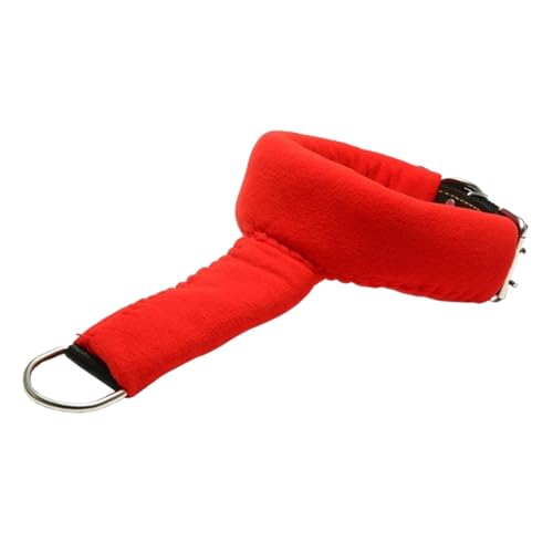 Sharplace Hundehalsband, verstellbar für Training mit D-, strapazierfähig, stilvoll, weich gepolstert, modernes Haustierhalsband mit Schnalle für, L Sharplace Hundehalsband, verstellbar für Training mit D-, strapazierfähig, stilvoll, weich gepolstert, modernes Haustierhalsband mit Schnalle für, L von Sharplace
