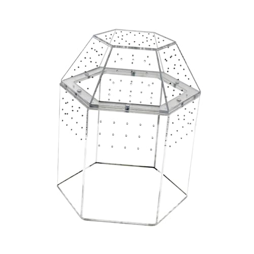 Sharplace Reptilien-Terrarium, Lebensraum, Terrarium, Gehege für Springspinnen, Zuchtbox, Reptilienbecken für Geckos, Einsiedlerkrebse, Bartagame Sharplace Reptilien-Terrarium, Lebensraum, Terrarium, Gehege für Springspinnen, Zuchtbox, Reptilienbecken für Geckos, Einsiedlerkrebse, Bartagame von Sharplace