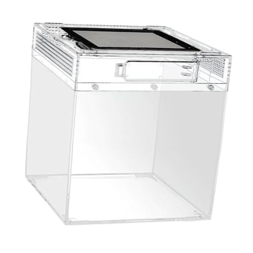 Sharplace Reptilien-Terrarium-Zuchtbox, transparenter Reptilientankbehälter für Frösche, Bartagamen, Tausendfüßler, Vogelspinnen, Springspinnen, 20cmx20cmx28cm von Sharplace