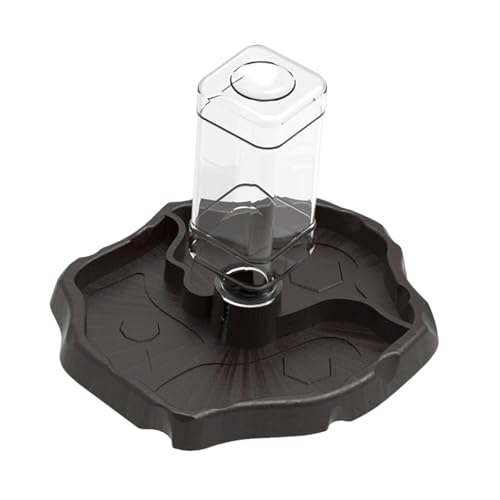 Sharplace Reptilienfutter-Wassernapf, automatischer Spender, leichte Wasserspenderflasche, Schildkröten-Wassernapf für Schildkröten und Geckos, Kaffee Sharplace Reptilienfutter-Wassernapf, automatischer Spender, leichte Wasserspenderflasche, Schildkröten-Wassernapf für Schildkröten und Geckos, Kaffee von Sharplace