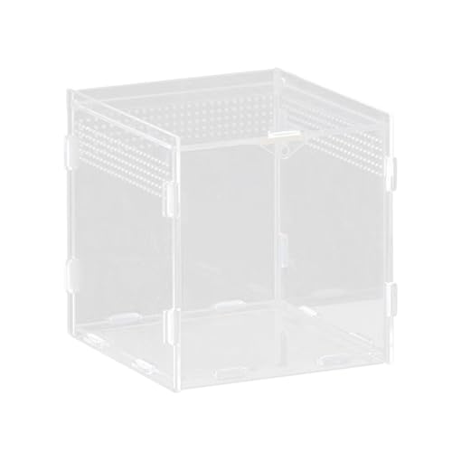 Sharplace Reptilienzuchtbox, Schildkrötenbox, Habitat-Schlüpfkasten, tragbar, transparent, atmungsaktiv, Terrarium, Zuchttank für Froschschlange, 15x15x15cm von Sharplace