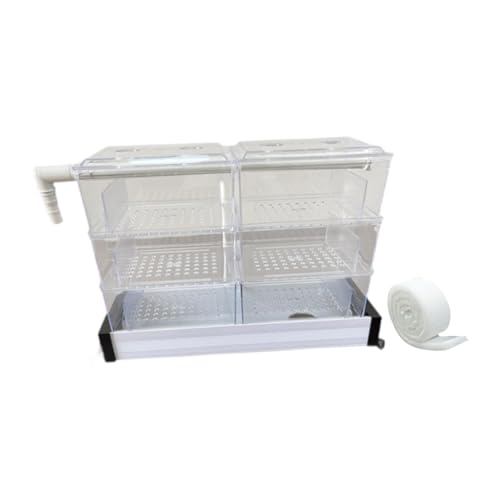 Sharplace Überlaufbox für Aquarien Fischtank -Zubehör oberen montierten ruhigen Schildkröten -Tank -Wasserreiner -Überlaufrohrfilter, 6 Kisten Sharplace Überlaufbox für Aquarien Fischtank -Zubehör oberen montierten ruhigen Schildkröten -Tank -Wasserreiner -Überlaufrohrfilter, 6 Kisten von Sharplace