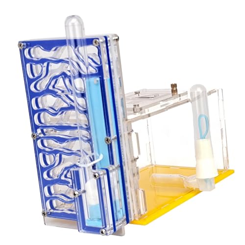 Sharplace -Zuchtgehäuse mit Futterspielzeug, Lern-Acryl-Ameisenfarm-Lebensraum für wissenschaftliche Beobachtungsdekoration auf dem Tisch, Blau Sharplace -Zuchtgehäuse mit Futterspielzeug, Lern-Acryl-Ameisenfarm-Lebensraum für wissenschaftliche Beobachtungsdekoration auf dem Tisch, Blau von Sharplace