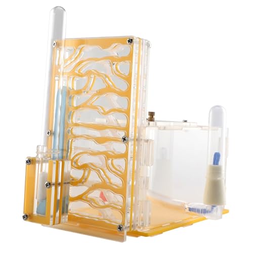 Sharplace -Zuchtgehäuse mit Futterspielzeug, Lern-Acryl-Ameisenfarm-Lebensraum für wissenschaftliche Beobachtungsdekoration auf dem Tisch, Gelb Sharplace -Zuchtgehäuse mit Futterspielzeug, Lern-Acryl-Ameisenfarm-Lebensraum für wissenschaftliche Beobachtungsdekoration auf dem Tisch, Gelb von Sharplace