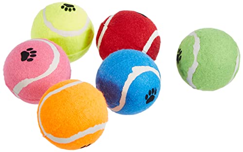 Sharples N Grant Fetch Tennisbälle, 6 Stück Sharples N Grant Fetch Tennisbälle, 6 Stück von Sharples N Grant