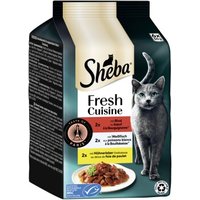 Sheba Fresh Cuisine Nassfutter Katze Adult, Multipack 36x50 g Taste of Paris von Sheba