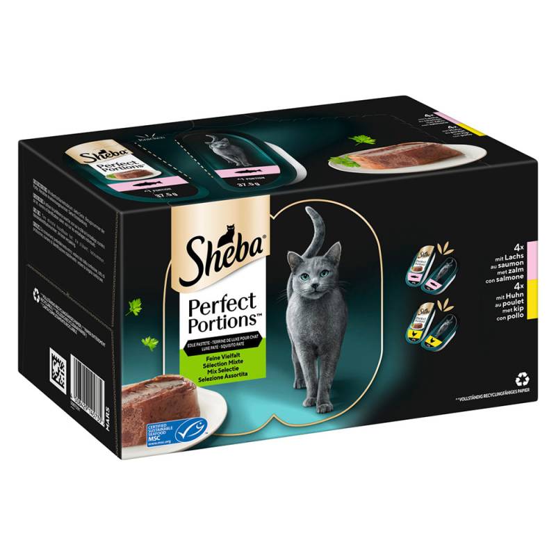 Megapack Sheba Perfect Portions 32 x 37,5 g - Edle Pastete: Lachs und Huhn von Sheba