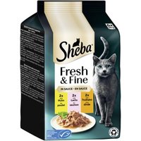 Sheba Fresh & Fine Nassfutter Katze Adult, Multipack, in Sauce 36x50 g Huhn, Lachs und Truthahn von Sheba