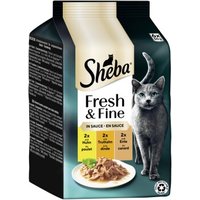 Sheba Fresh & Fine Nassfutter Katze Adult, Multipack, in Sauce 36x50 g Huhn, Truthahn und Ente von Sheba