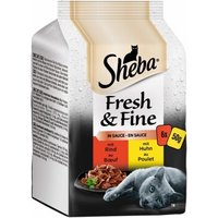 Sheba Multipack Fresh & Fine in Sauce 36x50g Rind & Huhn von Sheba