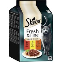 Sheba Fresh & Fine Nassfutter Katze Adult, Multipack, in Sauce 36x50 g Rind, Huhn und Lamm von Sheba