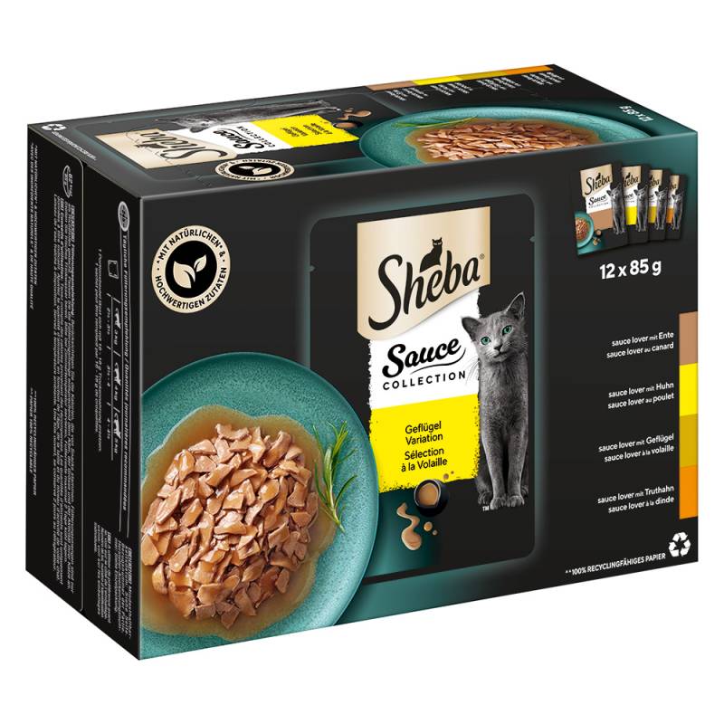 Multipack Sheba Varietäten Frischebeutel 12 x 85 g  - Sauce Collection (Ente, Huhn, Geflügel, Truthahn) von Sheba