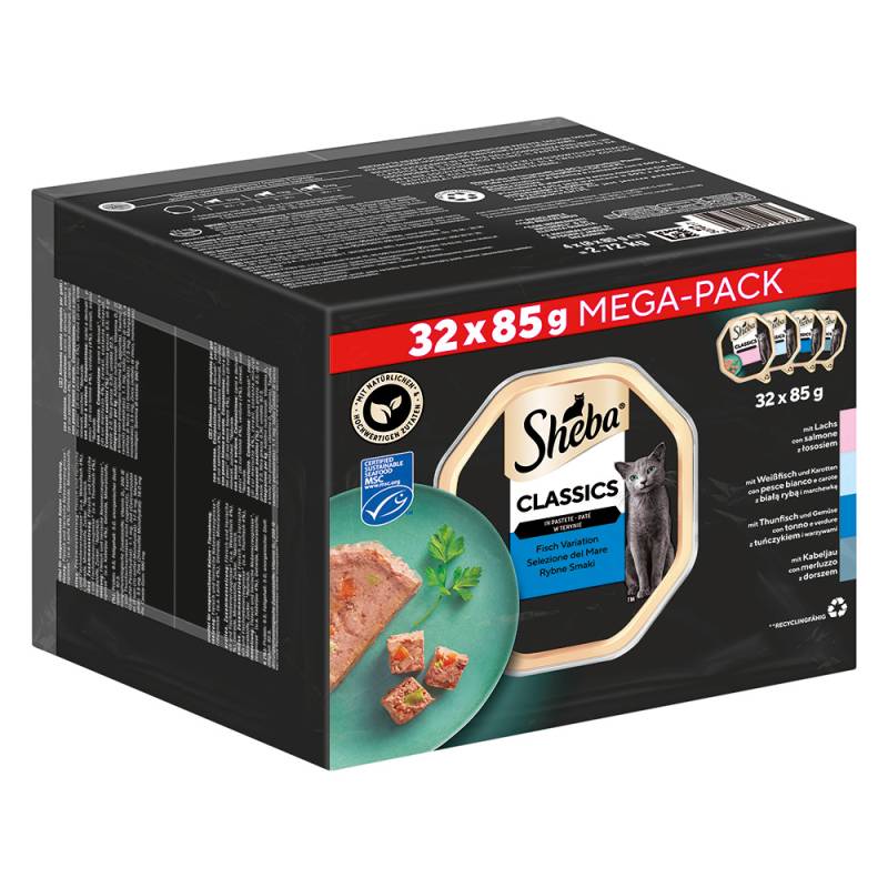 Multipack Sheba Varietäten Schälchen 32 x 85 g - Classics in Pastete von Sheba