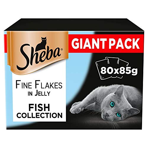 SHEBA Delicacy Fishy Flavours in Jelly - Wet cat Food - 80x 85g von Sheba