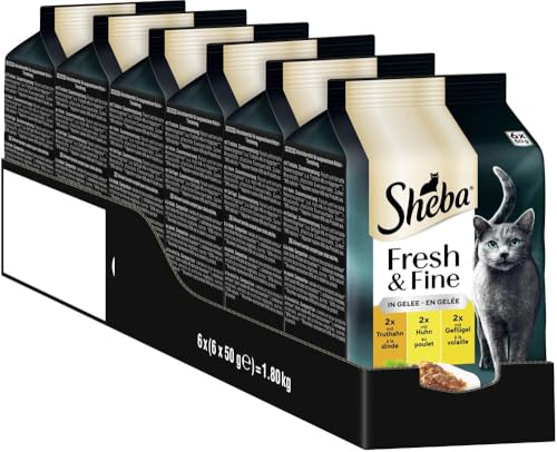 SHEBA Portionsbeutel Katzennassfutter Multipack Fresh & Fine in Gelee mit Truthahn und Huhn, 6x6x50g - Hochwertiges Katzenfutter in Gelee mit Truthahn und Huhn SHEBA Portionsbeutel Katzennassfutter Multipack Fresh & Fine in Gelee mit Truthahn und Huhn, 6x6x50g - Hochwertiges Katzenfutter in Gelee mit Truthahn und Huhn von Sheba