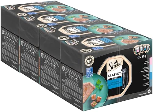 SHEBA Schale Nassfutter Multipack Classics in Pastete Fisch Variation MSC-zertifiziert 6 x 12 x 85g von Sheba