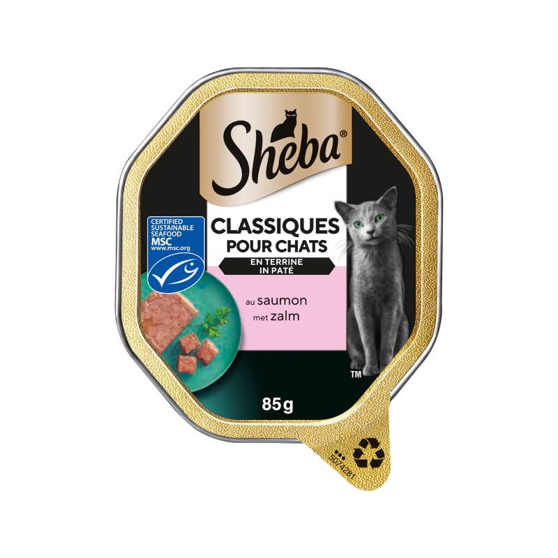 Sheba Classics Paté - Lachs - 44 x 85 g von Sheba