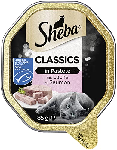 Sheba Katzennassfutter Classics in Pastete mit Lachs, 22 Schalen, 11x85g (2er Pack) – Hochwertiges Katzenfutter nass, als Pastete mit feinen Stückchen von Sheba