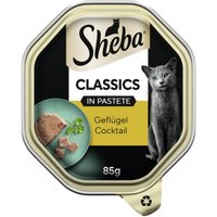 Sheba Classics in Pastete 22x85g Geflügel Cocktail von Sheba