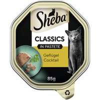 Sheba Classics in Pastete 22x85g Geflügel Cocktail Sheba Classics in Pastete 22x85g Geflügel Cocktail von Sheba