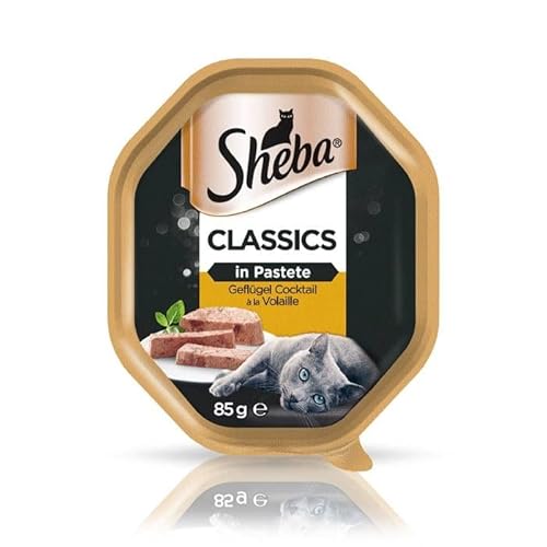 Sheba Classics in Pastete – Katzenfutter als Pasteten mit Geflügelschale 22 x 85g von Sheba