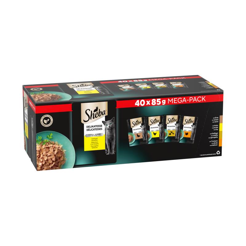 Sheba Delicatesse in Gelee Geflügel - Multipack - 40 x 85 g Sheba Delicatesse in Gelee Geflügel - Multipack - 40 x 85 g von Sheba
