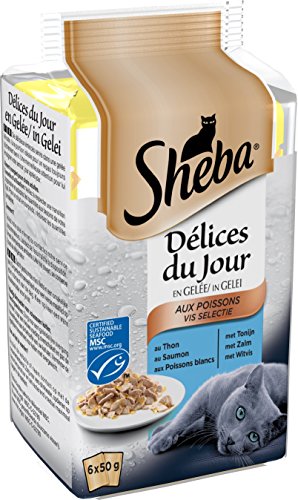 Sheba Délices du Jour – Nassfutter für ausgewachsene Katzen – Auswahl an Gelée – Frischebeutel 72 x 50 g von Sheba