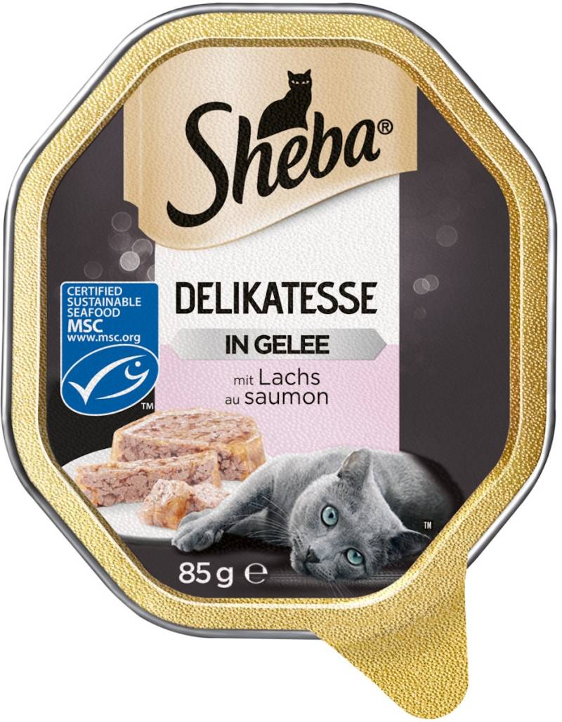 Sheba Delikatesse Gelee 85 Gramm Katzennassfutter Sparpaket 44 x 85 Gramm Geschnetzeltes mit Lachs