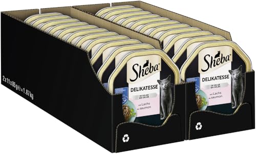 Sheba Delikatesse in Gelee – Hochwertiges Katzen Nassfutter – Geschnetzeltes mit Lachs – In der praktischen Schale – 22 x 85g Alleinfuttermittel von Sheba