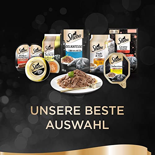 Sheba Delikatesse in Sauce – Hochwertiges Katzen Nassfutter mit feiner Truthahn – Im praktischen Portionsbeutel – 24 x 85g Alleinfuttermittel Sheba Delikatesse in Sauce – Hochwertiges Katzen Nassfutter mit feiner Truthahn – Im praktischen Portionsbeutel – 24 x 85g Alleinfuttermittel von Sheba