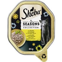 Sheba Seasons Collection wechselnde Sorten 22x85 g von Sheba