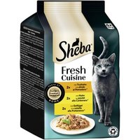 Sheba Fresh Cuisine Nassfutter Katze Adult, Multipack 36x50 g Taste of Rome von Sheba