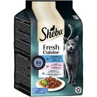Sheba Fresh Cuisine Nassfutter Katze Adult, Multipack 36x50 g Taste of Tokio von Sheba