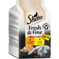 Sheba Fresh & Fine Frischebeutel 6 x 50 g - Huhn & Truthahn in Sauce von Sheba