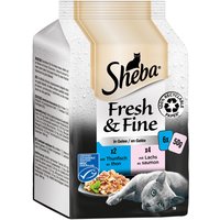 Sheba Fresh & Fine Frischebeutel 6 x 50 g - Thunfisch & Lachs in Gelee von Sheba
