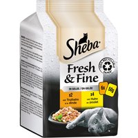 Sheba Fresh & Fine Frischebeutel 6 x 50 g - Truthahn & Huhn in Gelee von Sheba
