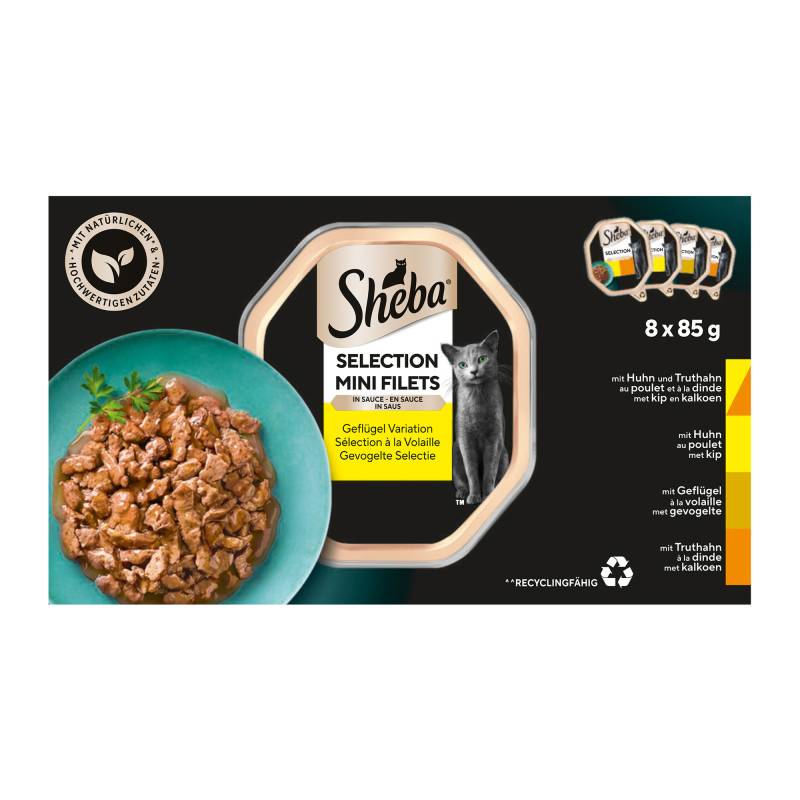 Sheba Geflügel Auswahl Mini Filets in Sauce - Huhn & Truthahn, Huhn, Geflügel und Truthahn - 16 x 85 g Sheba Geflügel Auswahl Mini Filets in Sauce - Huhn & Truthahn, Huhn, Geflügel und Truthahn - 16 x 85 g von Sheba