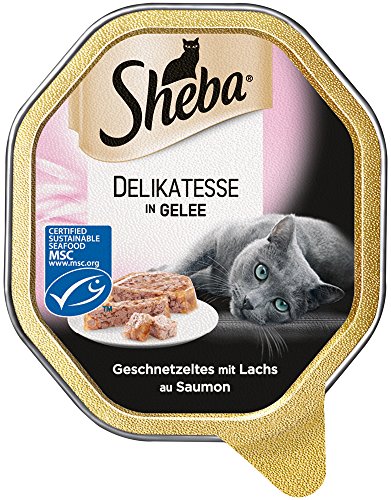 Sheba Katzenfutter Nassfutter Delikatesse in Gelee mit Lachs, 1 x 85g Schale von Sheba