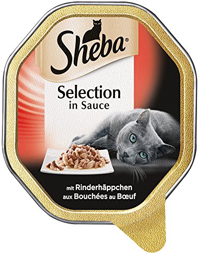 Sheba Katzenfutter Nassfutter Selection in Sauce mit Rinderhäppchen, 1 x 85g Schale von Sheba
