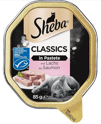 Sheba Katzennassfutter Classics in Pastete mit Lachs, 11 x 85g Schalen Hochwertiges Katzenfutter nass, als Pastete mit feinen Stückchen von Sheba