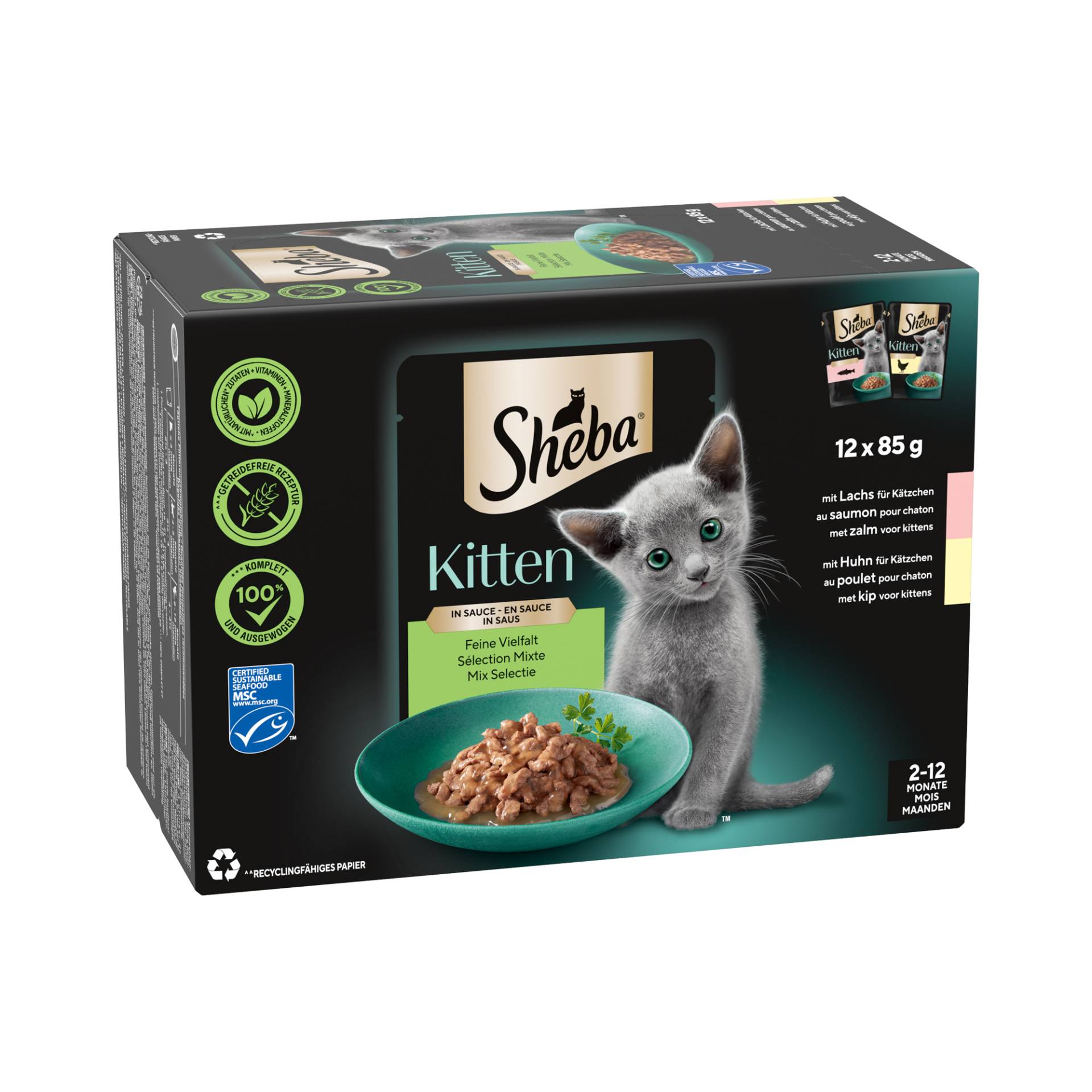 Sheba Kitten Mix Auswahl in Sauce - 12 x 85 g Sheba Kitten Mix Auswahl in Sauce - 12 x 85 g von Sheba