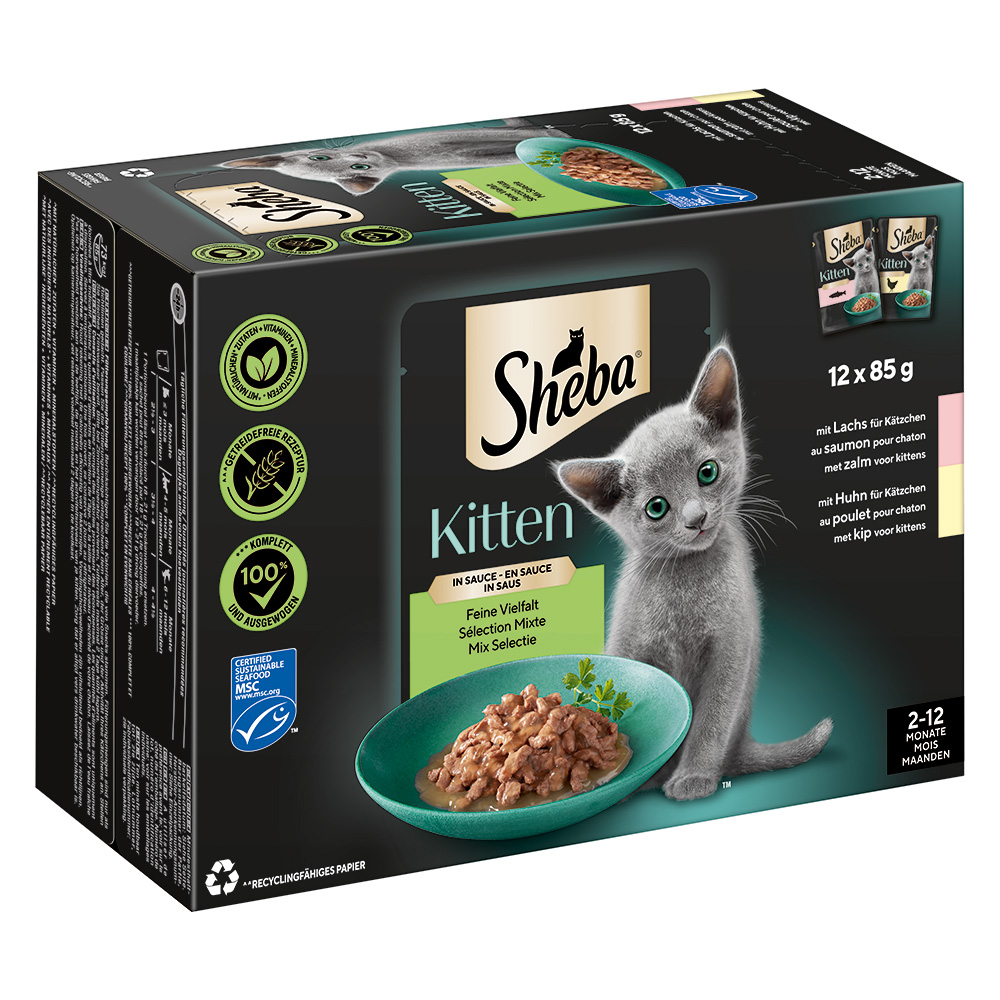 Sheba Kitten Varietäten Frischebeutel 12 x 85 g - Feine Vielfalt in Sauce (Lachs, Huhn) von Sheba
