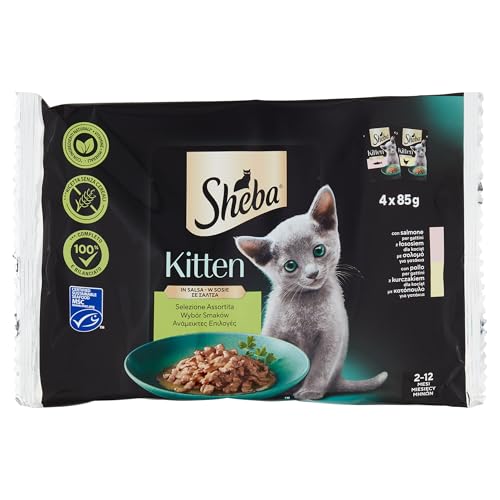 Sheba Kitten in Sauce mit Lachs und Huhn, komplettes Nassfutter für Kätzchen, 20 Beutel à 85 g (5 x 4 x 85 g) von Sheba