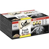 Sheba Mega Pack Fresh & Fine in Sauce mit Huhn, mit Geflügel, mit Truthahn 50 x 50g Sheba Mega Pack Fresh & Fine in Sauce mit Huhn, mit Geflügel, mit Truthahn 50 x 50g von Sheba