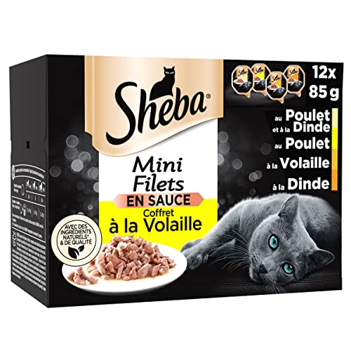 Sheba Mini-Netze – Schalen für ausgewachsene Katzen, Geflügelbox in Soße, 6 x 12 x 85 g (Verpackung kann variieren) von Sheba