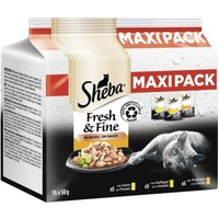 Sheba Multipack Fresh & Fine in Sauce 15 x 50g Geflügel Variation von Sheba