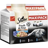 Sheba Multipack Fresh & Fine in Sauce 15 x 50g Fischvariation von Sheba