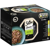 Sheba Multipack Sauce Collection Feine Vielfalt 12x85 g Sheba Multipack Sauce Collection Feine Vielfalt 12x85 g von Sheba