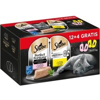 Sheba Perfect Portions 16x37,5g Lachs und Huhn Sheba Perfect Portions 16x37,5g Lachs und Huhn von Sheba